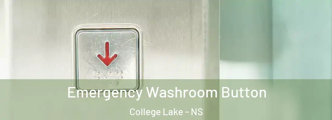 Emergency Washroom Button College Lake - NS
