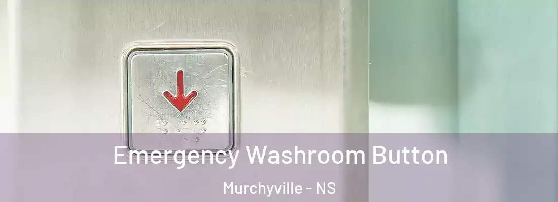 Emergency Washroom Button Murchyville - NS