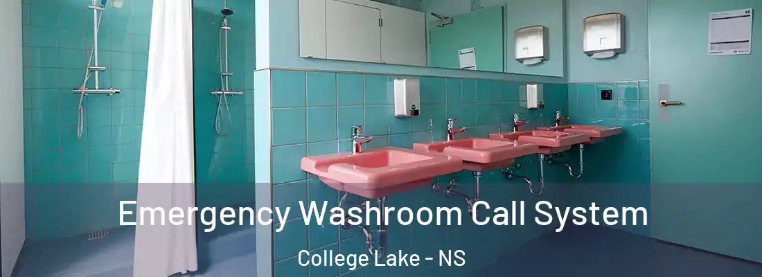 Emergency Washroom Call System College Lake - NS