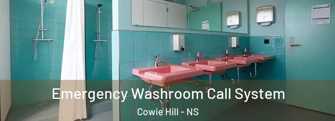  Emergency Washroom Call System Cowie Hill - NS