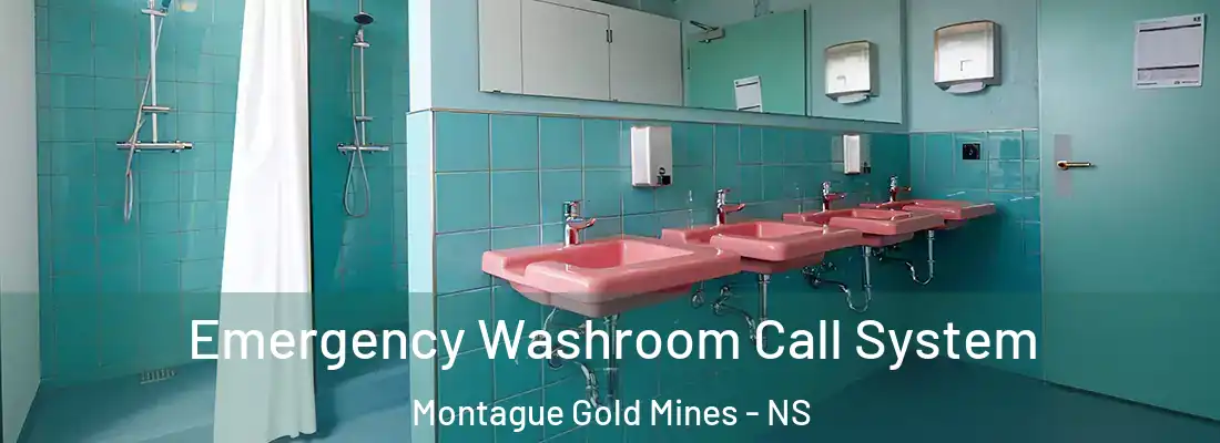 Emergency Washroom Call System Montague Gold Mines - NS