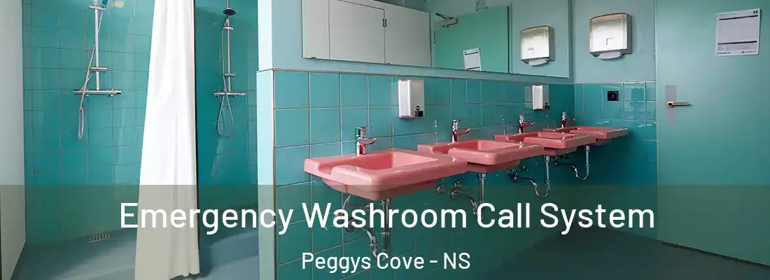 Emergency Washroom Call System Peggys Cove - NS