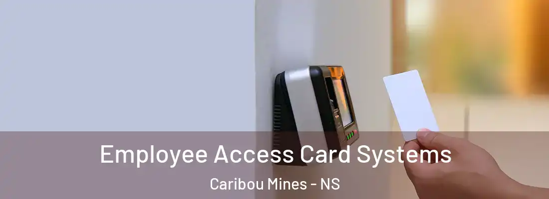 Employee Access Card Systems Caribou Mines - NS