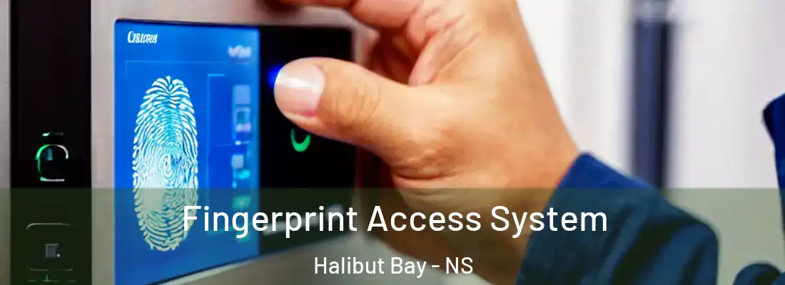 Fingerprint Access System Halibut Bay - NS
