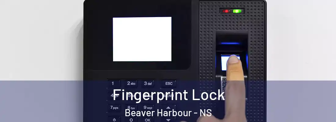 Fingerprint Lock Beaver Harbour - NS