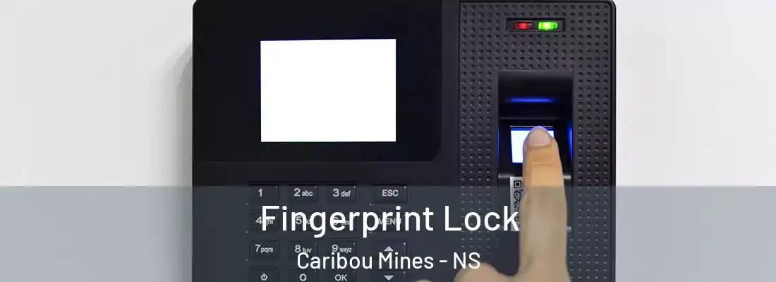 Fingerprint Lock Caribou Mines - NS