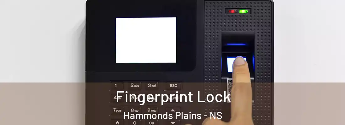 Fingerprint Lock Hammonds Plains - NS