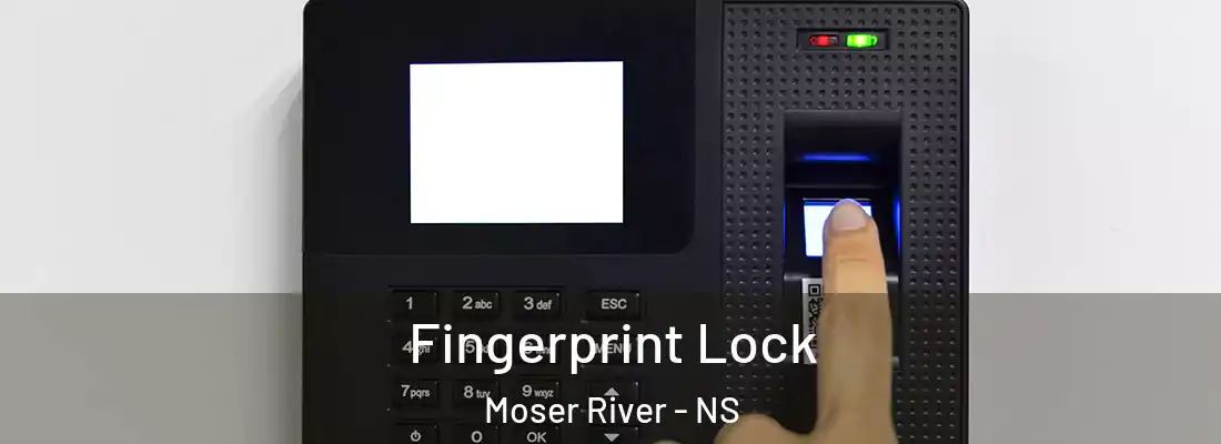  Fingerprint Lock Moser River - NS