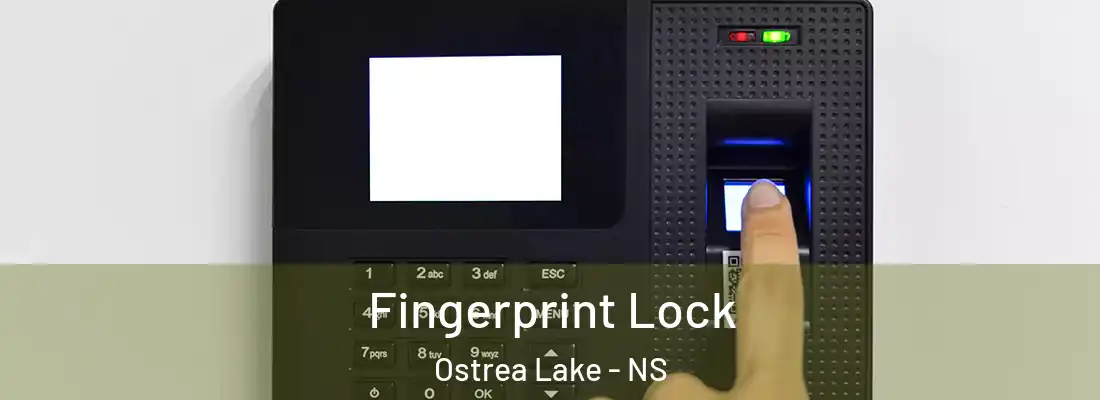 Fingerprint Lock Ostrea Lake - NS