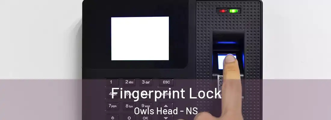  Fingerprint Lock Owls Head - NS
