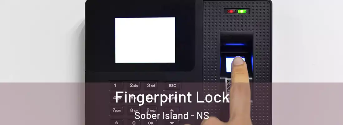  Fingerprint Lock Sober Island - NS