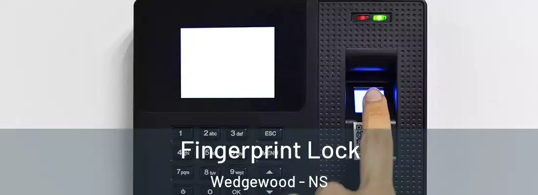 Fingerprint Lock Wedgewood - NS