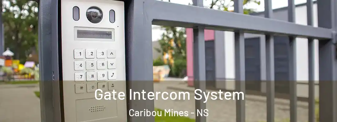 Gate Intercom System Caribou Mines - NS