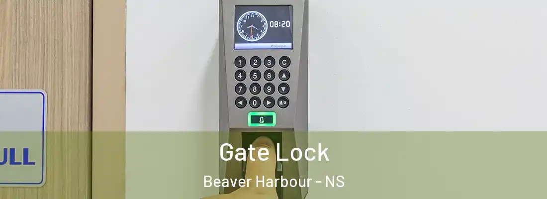 Gate Lock Beaver Harbour - NS