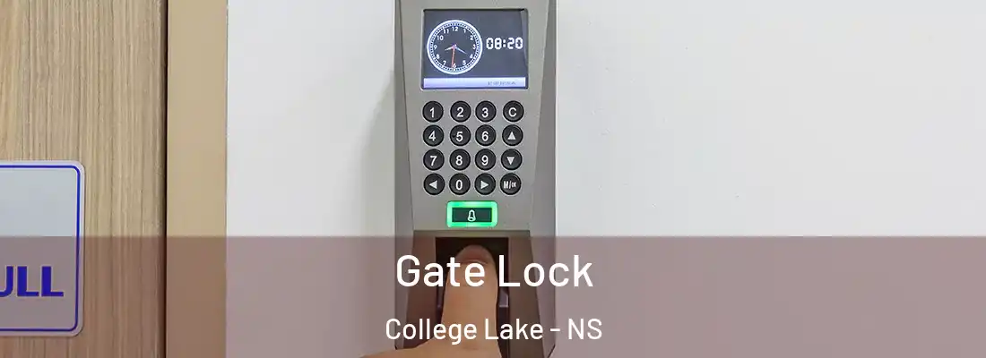 Gate Lock College Lake - NS