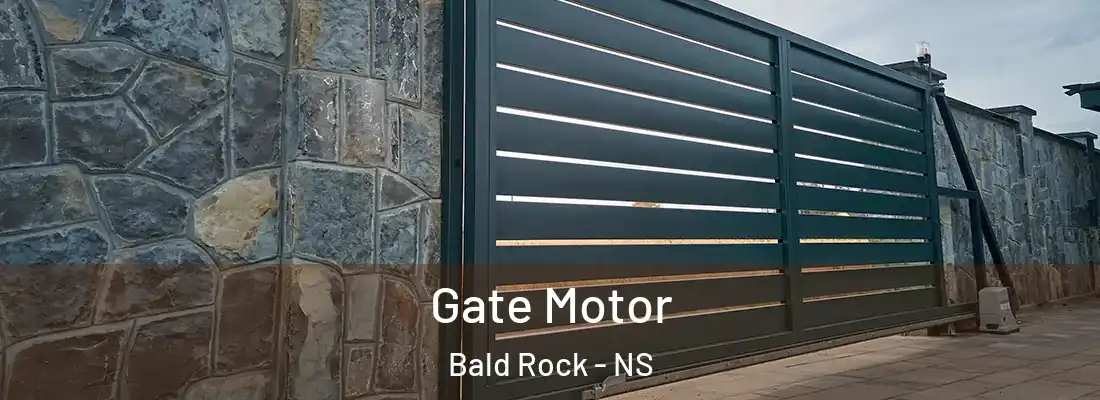  Gate Motor Bald Rock - NS
