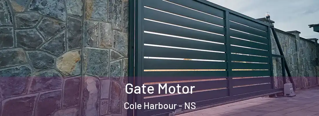  Gate Motor Cole Harbour - NS
