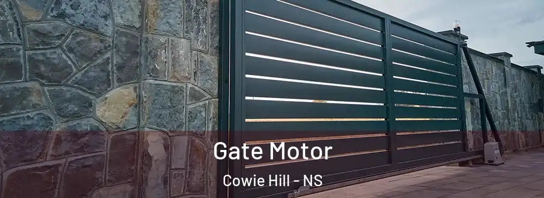 Gate Motor Cowie Hill - NS