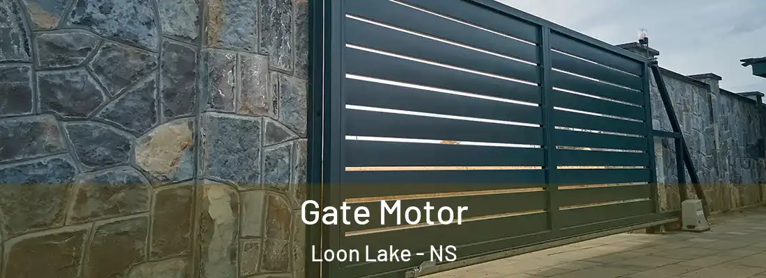 Gate Motor Loon Lake - NS