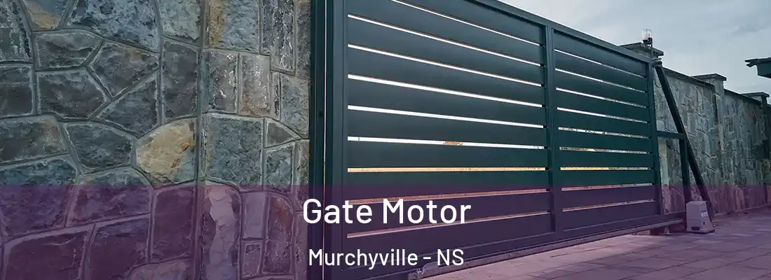 Gate Motor Murchyville - NS