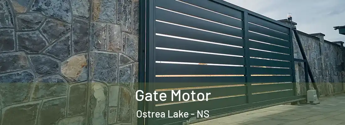  Gate Motor Ostrea Lake - NS