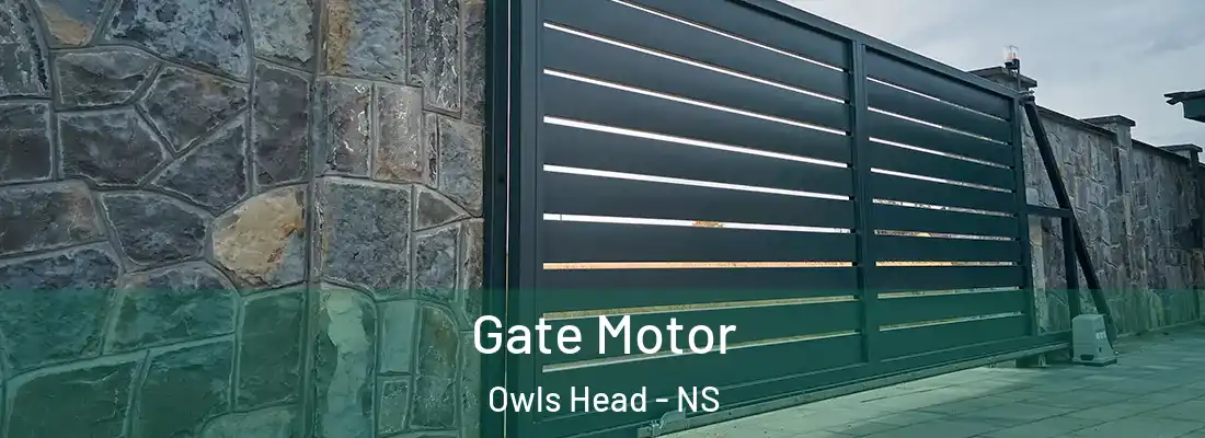 Gate Motor Owls Head - NS