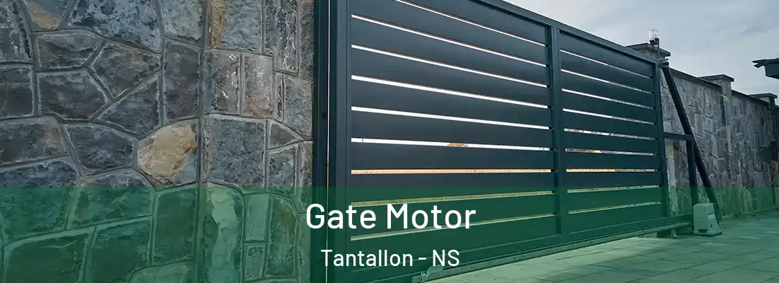 Gate Motor Tantallon - NS