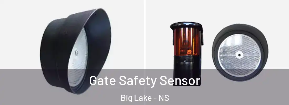 Gate Safety Sensor Big Lake - NS