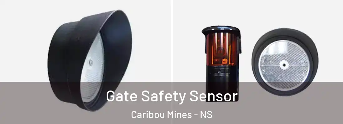 Gate Safety Sensor Caribou Mines - NS