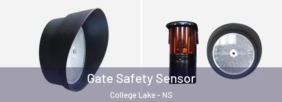 Gate Safety Sensor College Lake - NS