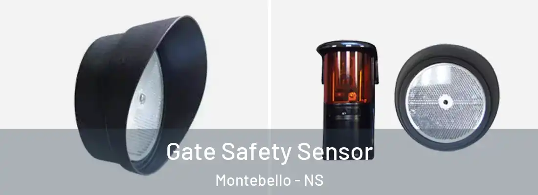 Gate Safety Sensor Montebello - NS