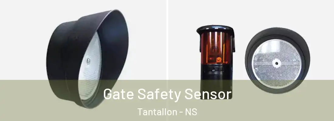 Gate Safety Sensor Tantallon - NS