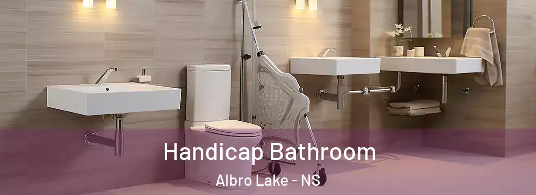 Handicap Bathroom Albro Lake - NS