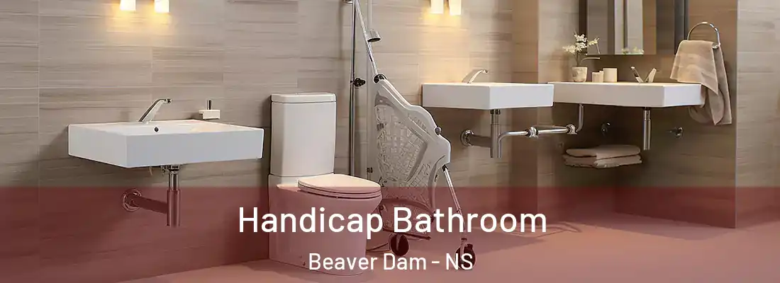 Handicap Bathroom Beaver Dam - NS