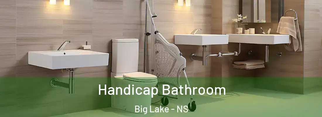 Handicap Bathroom Big Lake - NS