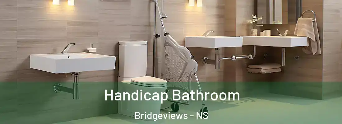 Handicap Bathroom Bridgeviews - NS