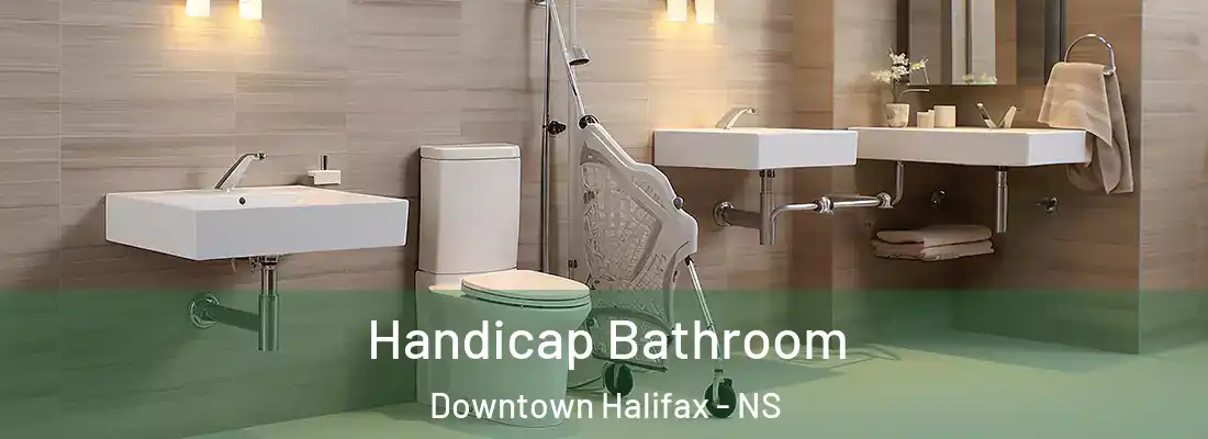 Handicap Bathroom Downtown Halifax - NS