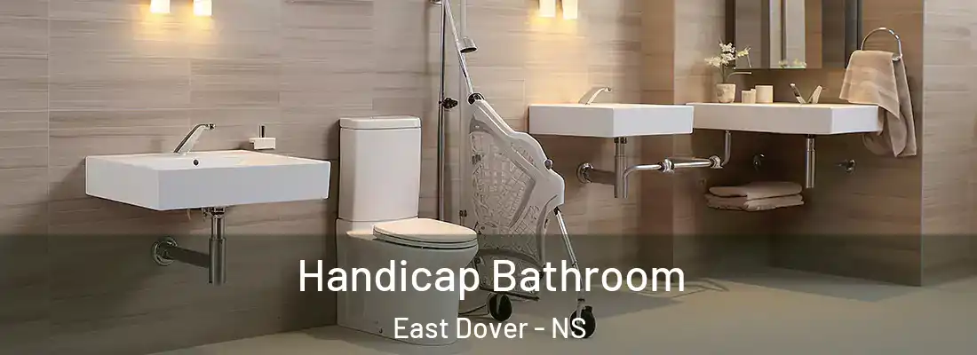 Handicap Bathroom East Dover - NS