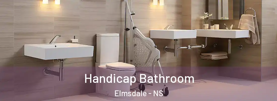 Handicap Bathroom Elmsdale - NS