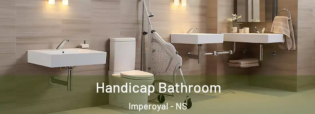  Handicap Bathroom Imperoyal - NS