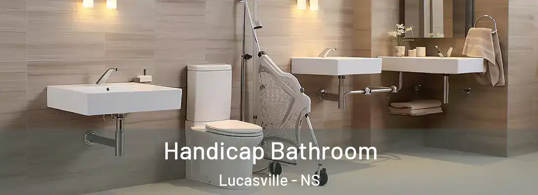 Handicap Bathroom Lucasville - NS