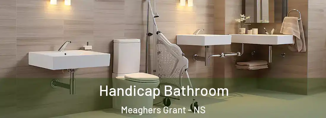 Handicap Bathroom Meaghers Grant - NS