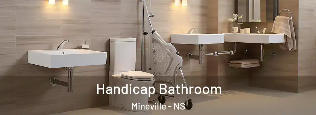 Handicap Bathroom Mineville - NS