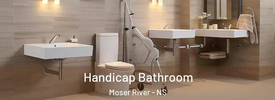 Handicap Bathroom Moser River - NS