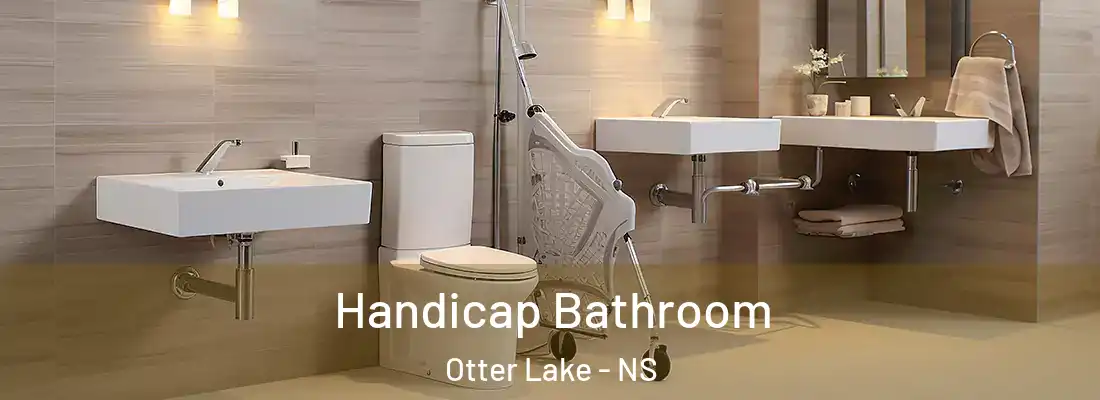 Handicap Bathroom Otter Lake - NS