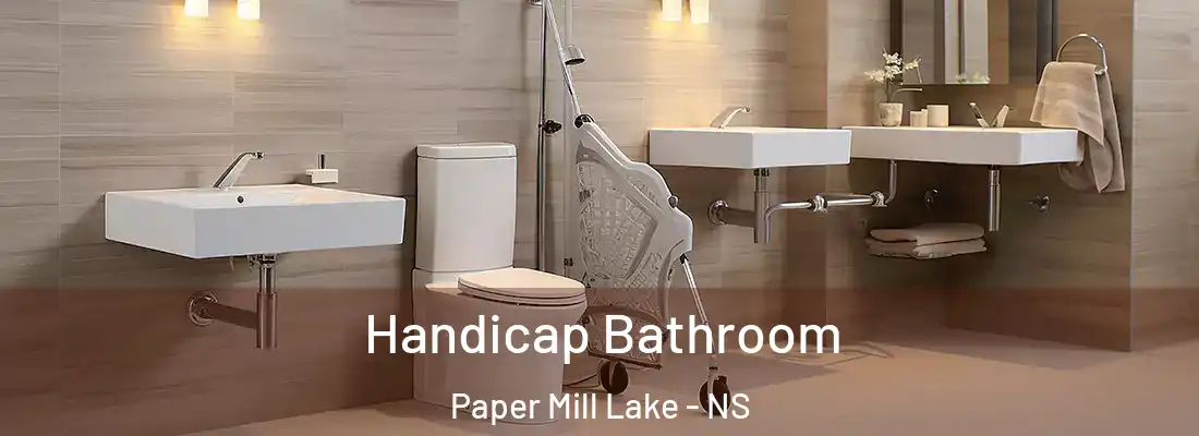 Handicap Bathroom Paper Mill Lake - NS