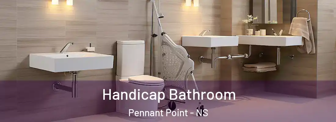 Handicap Bathroom Pennant Point - NS