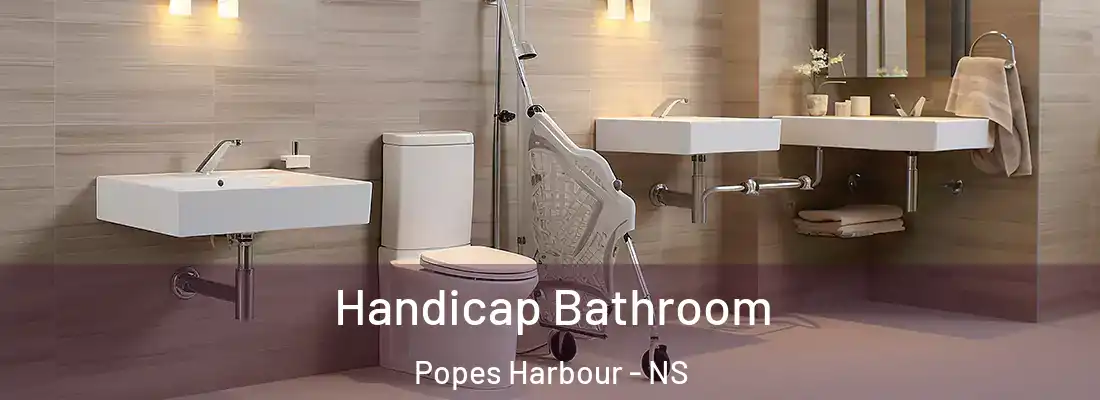 Handicap Bathroom Popes Harbour - NS