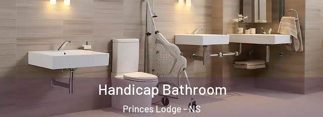 Handicap Bathroom Princes Lodge - NS
