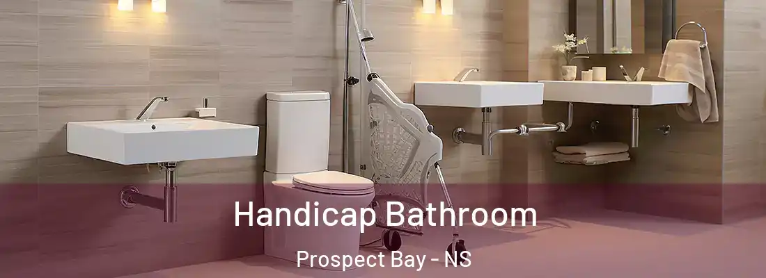 Handicap Bathroom Prospect Bay - NS